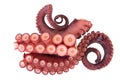 Tentacles of octopus Royalty Free Stock Photo