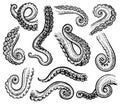 Tentacles of octopus, vector hand drawn collection of engraving illustrations. Royalty Free Stock Photo