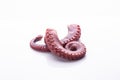 Tentacles of stew octopus isolated on white background Royalty Free Stock Photo