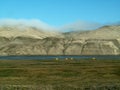 Tents along the Horton River