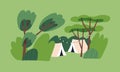 Tents at camp site among trees, nature. Summer holiday landscape. Vacation campground, cozy outdoor campsite place in