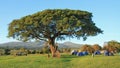 Tents and campers at simba camp on Ngorongoro Royalty Free Stock Photo