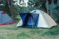 Campground in the forest Royalty Free Stock Photo