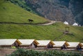 Tents for camping on the mountainside in summer. Glamping in the mountains