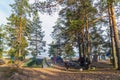 Tents on the sandy beach among the pines. Lake Ladoga . Karelia