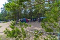 Tents on the sandy beach among the pines. Lake Ladoga . Karelia