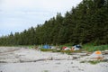 Tents set up for camping along a gorgeous seascape view of the sandy beaches of Cape Scott Provincial Park