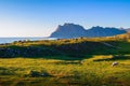 Tents, tourists and camping gear on Uttakleiv beach in Lofoten islands, Norway