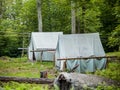 Tents in the woods