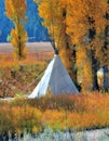 Tepee setup in the Grand Teton National Park in the fall Royalty Free Stock Photo