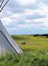 Tepee or Tipi with horses in the background on a Montana plain with blue sky Royalty Free Stock Photo