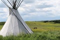 Tepee or Tipi with horses in the background on a Montana plain with blue sky Royalty Free Stock Photo