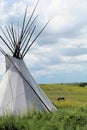 Tepee or Tipi with horses in the background on a Montana plain with blue sky Royalty Free Stock Photo