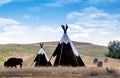 Tepees and buffalo for tourists Royalty Free Stock Photo