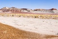 The Tepees Petrified Forest National Park