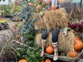 TEPLICE, CZECH REPUBLIC - 08.10.2023: Free family-friendly Halloween celebration at garden center