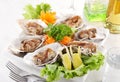 Teppanyaki oysters Royalty Free Stock Photo