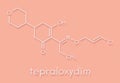Tepraloxydim herbicide molecule. Skeletal formula Royalty Free Stock Photo