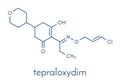 Tepraloxydim herbicide molecule. Skeletal formula Royalty Free Stock Photo
