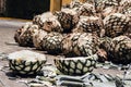 Tequila Agave in distillery waiting for processing, Jalisco Mexico