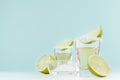 Tequila alcohol shot drink with salty rim, piece lime, salt in bowl on soft light pastel green background, copy space.