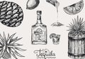 Tequila background. Glass bottle, shot with lime, blue agave Plant and barrel. Retro poster or banner. Engraved hand Royalty Free Stock Photo