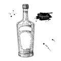 Tequila bottle drawing. Vodka, cocktail, alcohol drink vector il