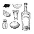 Tequila bottle, salt shaker and shot glass with lime. Mexican alcohol drink vector drawing