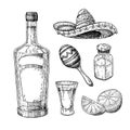 Tequila bottle, salt shaker and shot glass with lime. Mexican alcohol drink vector drawing.