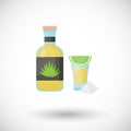 Tequila bottle and shot with lemon, salt flat icon Royalty Free Stock Photo