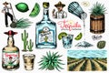 Tequila bottle, shot with lime, blue agave Plant, barrel and root ingredient, farmer and harvest. Engraved hand drawn