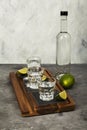 Tequila bottle and shots, limes, salt on wooden board