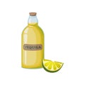 Tequila. A bottle of tequila and a slice of lime. Mexican alcoholic beverage. Alcoholic beverage. Vector illustration Royalty Free Stock Photo