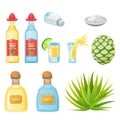 Tequila bottles, shot glass, agave root, vector illustration. Mexican alcohol drinks and cocktails menu design elements Royalty Free Stock Photo