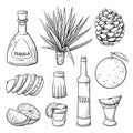 Tequila ingredients hand drawn monochrome illustrations set Royalty Free Stock Photo