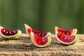 Tequila jello shots Royalty Free Stock Photo