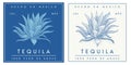 Tequila label template modern simple clean