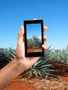 Tequila Landscape