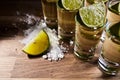 Tequila , lime and salt Royalty Free Stock Photo