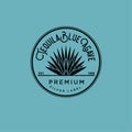 Tequila logo. Silver tequila label. Blue agave premium tequila. Agave in a circle on a blue background.