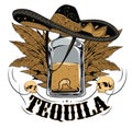 Tequila Royalty Free Stock Photo