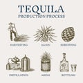 Tequila production process. Glass bottle, shot with lime, Distilled alcohol, blue agave Plant, barrel and farmer and Royalty Free Stock Photo