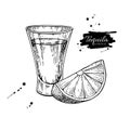 Tequila shot glass with lime. Mexican alcohol drink vector drawing. Royalty Free Stock Photo