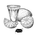 Tequila shot glass with lime. Mexican alcohol drink vector drawing. Royalty Free Stock Photo