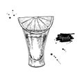 Tequila shot glass with lime. Mexican alcohol drink vector drawing. Royalty Free Stock Photo