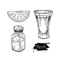 Tequila shot glass with lime and salt shaker. Mexican alcohol drink vector drawing.