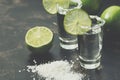 Tequila shot with lime and salt on a dark background. Selective focus, copy space. Toned image Royalty Free Stock Photo