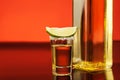 Tequila shot with lime and salt Royalty Free Stock Photo