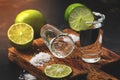 Tequila shot with lime and salt in the sunlight on a cutting board. Selective focus, toned Royalty Free Stock Photo