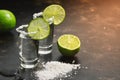 Tequila shot with lime and salt in the sunlight on a dark background. Selective focus, copy space Royalty Free Stock Photo